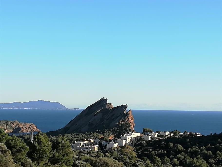 Studio 28M2 Climatise,Wifi, Proche Des Calanques,Plages La Ciotat Eksteriør billede