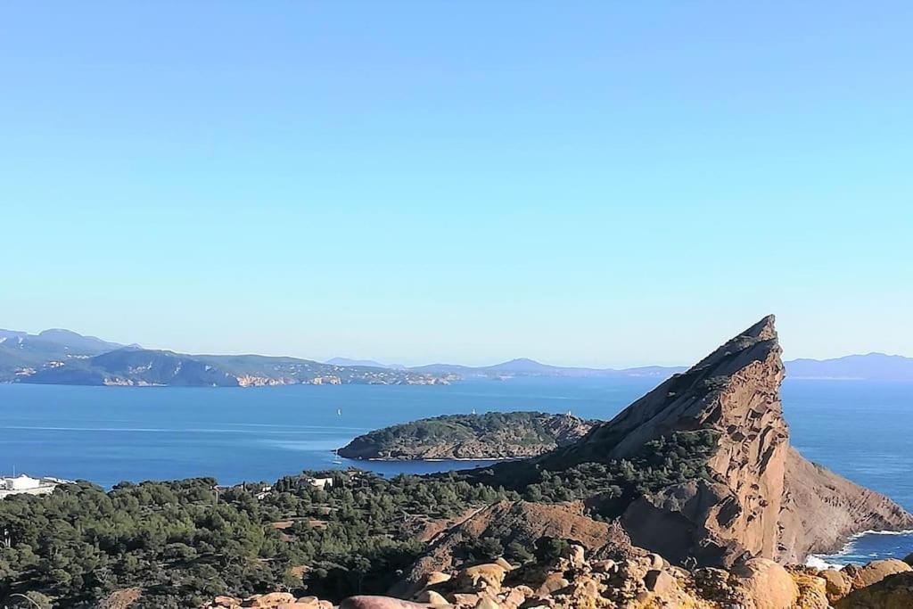 Studio 28M2 Climatise,Wifi, Proche Des Calanques,Plages La Ciotat Eksteriør billede